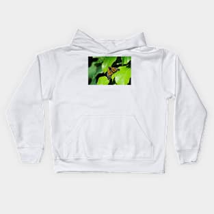 Australian Wanderer Kids Hoodie